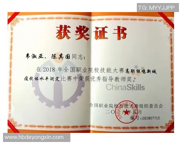 武汉足球队在全国锦标赛中的技术表现分析与点评