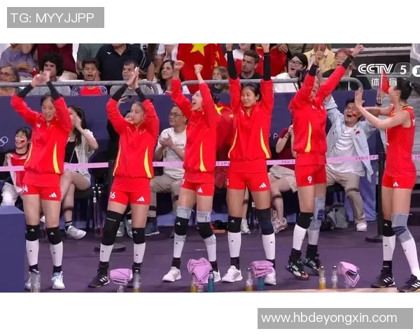 杭州排球队在奥运会上的速度表现引发热议与期待